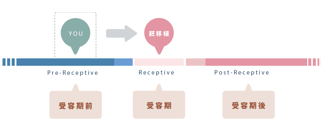 図：Pre-Receptive