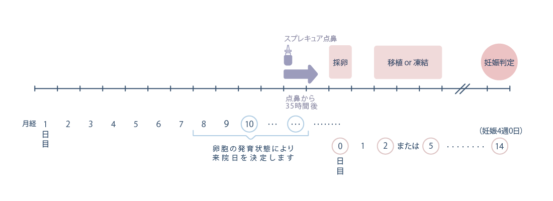 自然周期法の流れ