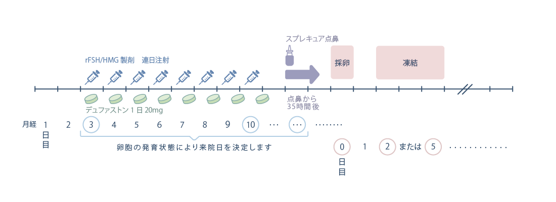 PPOS法の流れ